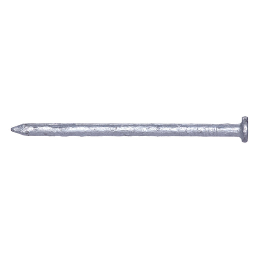 Pro-Fit 6D 2 in. Common Hot-Dipped Galvanized Steel Nail Flat Head 50 lb