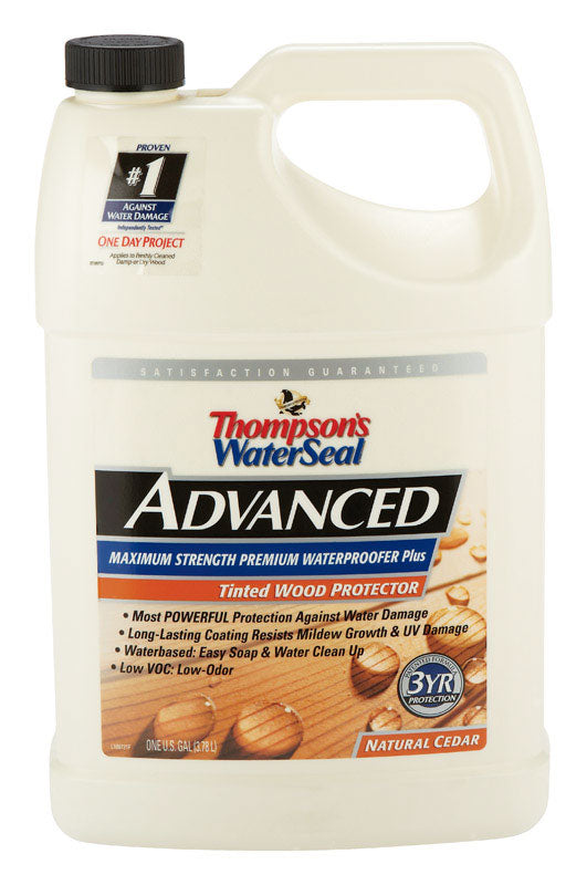 Thompsons Waterseal A21761 1 Gallon Natural Cedar Tinted Wood Protector Low VOC