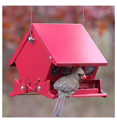 Audubon Mini Absolute II 4 lb Steel Hopper Bird Feeder