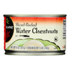 Ka'Me Ka-Me Sliced-Peeled Water Chestnuts - Case of 24 - 8 OZ