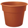 Bloem Dura Cotta 14.3 in. H X 16 in. D Plastic Planter Terracotta