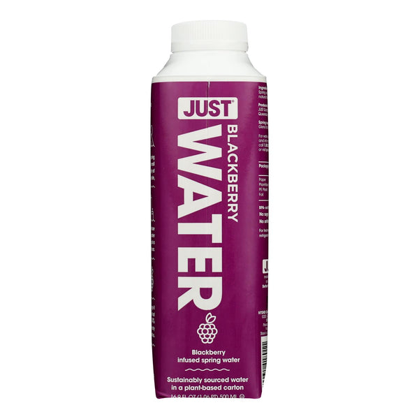 Just Water - Agua de manantial con infusión de Blackberry - Caja de 12 - 16,9 FZ