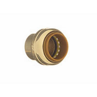 Proline Push to Connect 1/4 in. Brass Cap