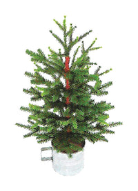 Holiday Bright Lights Unlit Tree Tabletop Dr