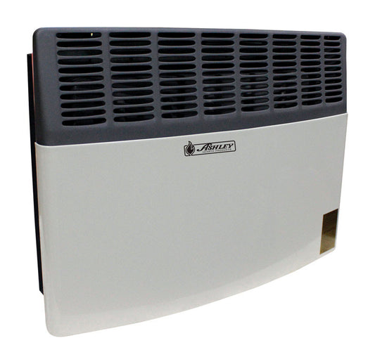 Ashley Hearth Products  450 sq. ft. 17000 BTU Propane  Wall Heater