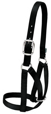 Cattle Halter For Barn, Black Nylon, Medium, 1-In.
