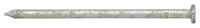 Stallion  12D  3-1/4 in. Common  Hot-Dipped Galvanized  Steel  Nail  Flat  5 lb. (Pack of 6)