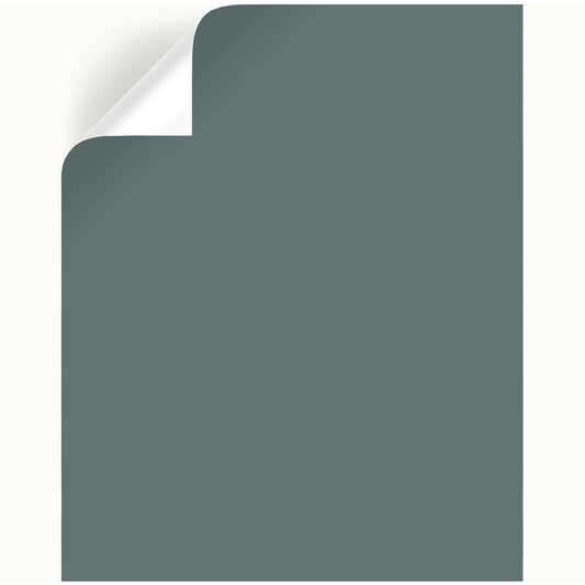 Magnolia Home by Joanna Gaines Duke Gray Peel & Stick Color Sample (Pack of 25)