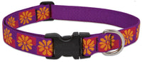 Lupine Collars & Leads 78553 1" X 16-28" Flower Box Collar
