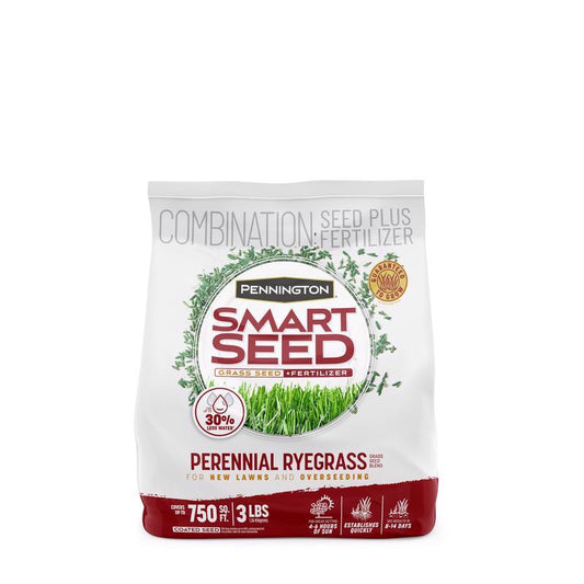 Pennington Perennial Ryegrass Smart Seed, 3 lbs.