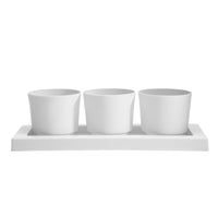 Bloem Casper 4 in.   H X 14 in.   W X 4 in.   D Plastic Trio Flight Planter White