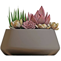 Avera 8 in. D Cement Planter Multicolored