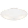 Westinghouse 13 in. W X 13 in. L Ceiling Light