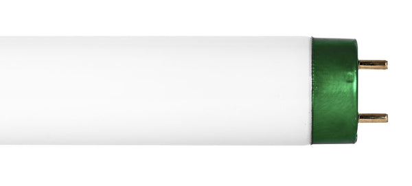 Bombilla fluorescente de luz diurna T8 de dos pines de 15 vatios y 18 W, no regulable, Phillips 407205 (paquete de 25)