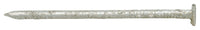 Stallion  8D  2-1/2 in. Box  Hot-Dipped Galvanized  Steel  Nail  Flat  1 lb. (Pack of 12)