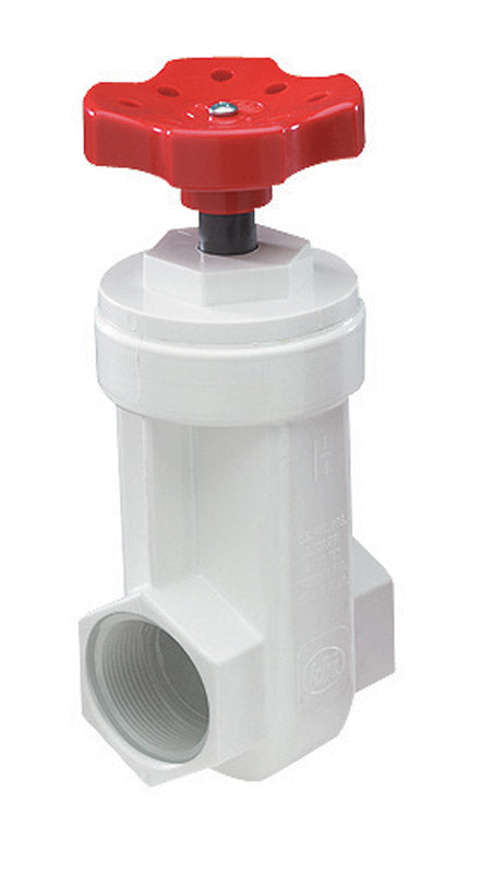 NDS 1-1/4 in. FPT PVC Gate Valve