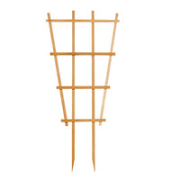 25x54 WD Fan Trellis