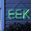 Celebrations Green 8 in. LED Prelit EEK Lights