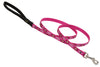 Lupine Pet Original Designs Multicolor Puppy Love Nylon Dog Leash