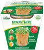 PlantBest Boosters Microgreens Broccoli Grow Kit 1 pk