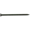 Pro-Fit 16D 3-1/2 in. Common Bright Steel Nail Flat Head 25 lb