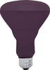 GE 75 watts R30 Spotlight Incandescent Bulb E26 (Medium) Black Light 1 pk (Pack of 6)