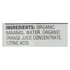 Earth's Best Organic Orange Banana Baby Food Puree - Stage 2 - Case of 12 - 4 oz.