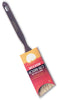 Wooster Golden Glo 1-1/2 in. Angle Paint Brush