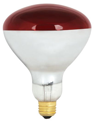 Heat Lamp, R40, Dimmable, 250-Watts
