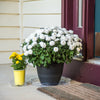 Gardeners Choice VS4VUS 4" Clear Vinyl Planter Saucer (Pack of 50)