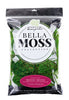 Syndicate Sales Preserved Mood Moss 3 lb