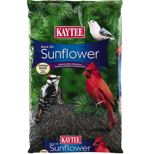 Kaytee Black Oil Sunflower Songbird Black Oil Sunflower Wild Bird Food Black Oil Sunflower Seed