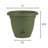 Bloem Lucca 8.8 in. H X 10 in. D Plastic Planter Living Green (Pack of 6)