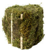 SuperMoss Forest Moss 5 lb