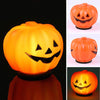 Sienna LED Pumpkin Lighted Halloween Decoration (Pack of 12)