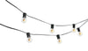 Sylvania  Spider Lights  Lighted Halloween Decoration  5 in. H x 0 in. W 1 pk