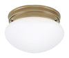 Westinghouse  4-3/8 in. H x 7-1/4 in. W x 7.25 in. L Ceiling Light