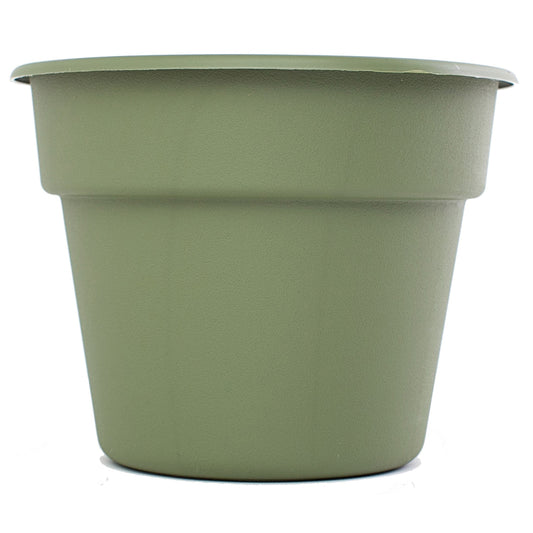 Bloem Living Green Plastic Round Planter 8 Dia. in. with Saucer (Pack of 24)