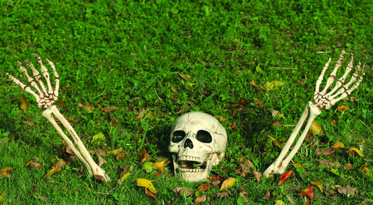 Seasons Buried Alive Skeleton Yard Dr