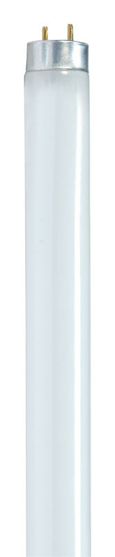 Satco 32 W T8 1 in.   D X 48 in.   L Fluorescent Bulb Cool White Linear 4100 K 1 pk (Pack of 30)
