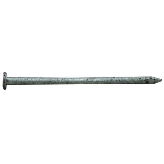 Pro-Fit 16D 3-1/2 in. Common Hot-Dipped Galvanized Steel Nail Flat Head 25 lb