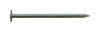 Pro-Fit 2 in. Roofing Electro-Galvanized Steel Nail Flat Head 25 lb