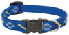 Lupine Pet Original Designs Multicolor Dapper Dog Nylon Dog Adjustable Collar