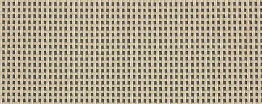 Phifer Wire  72 in. W x 100 ft. L Beige  Polyester  Screen Cloth