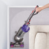 Dyson Animal 2 Bagless Corded HEPA Filter Upright Vacuum