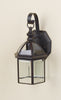 Westinghouse 6985600 Rust One-Light Exterior Wall Lantern