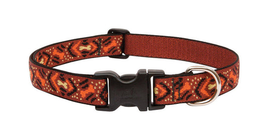 Lupine Pet  Original Designs  Multicolor  Down Under  Nylon  Dog  Adjustable Collar