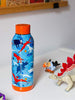 Quokka Stainless Steel Bottle Solid Dinosaur 510 ml/17Oz (Pack of 2)