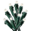 Celebrations  LED  Clear/Warm White  150 count String  Christmas Lights  37.25 ft.