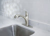 OakBrook  Washerless Cartridge  One Handle  Nickel  Kitchen Faucet